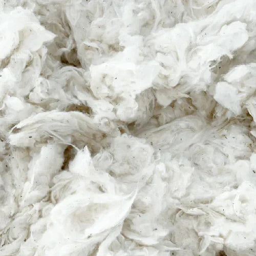 Why Organic Cotton Matters