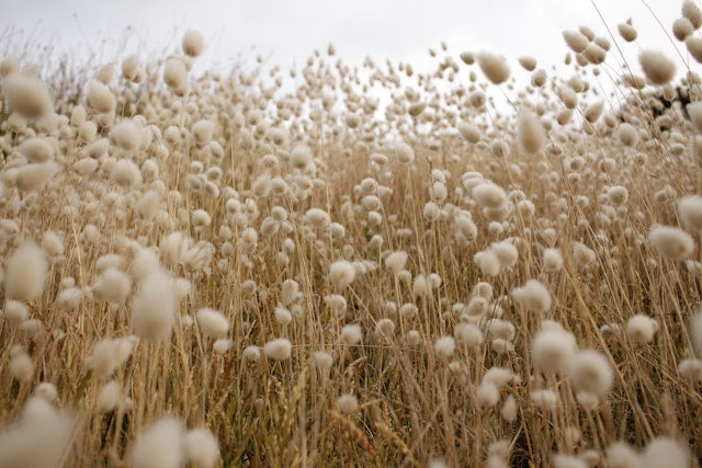 How fast fashion is affecting the planet and what you can do instead