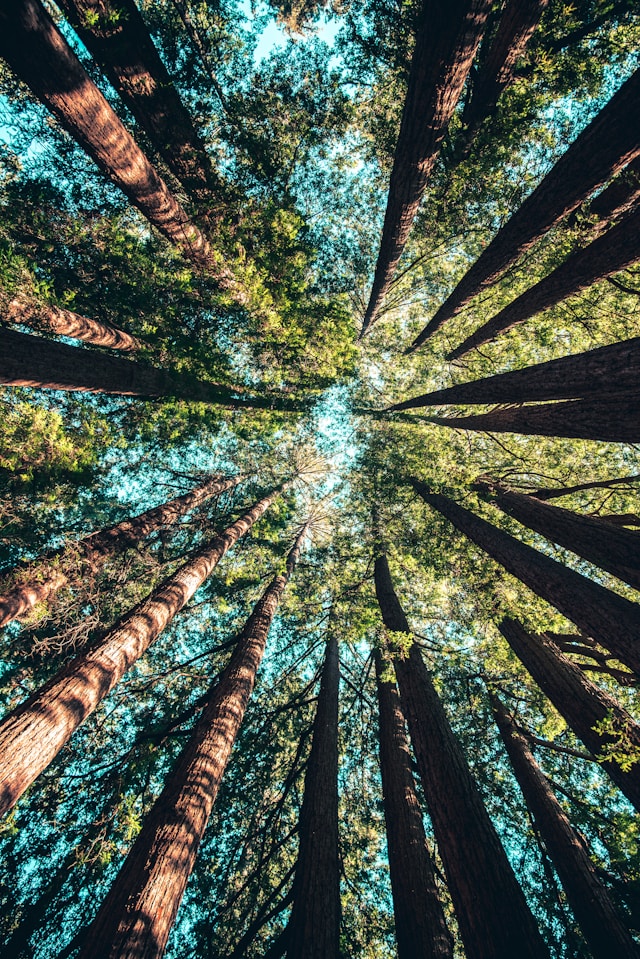 The Truth About Greenwashing in the Merch Industry