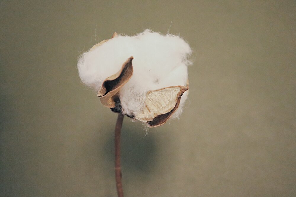 Slow fashion is the only way forward in a fast paced world