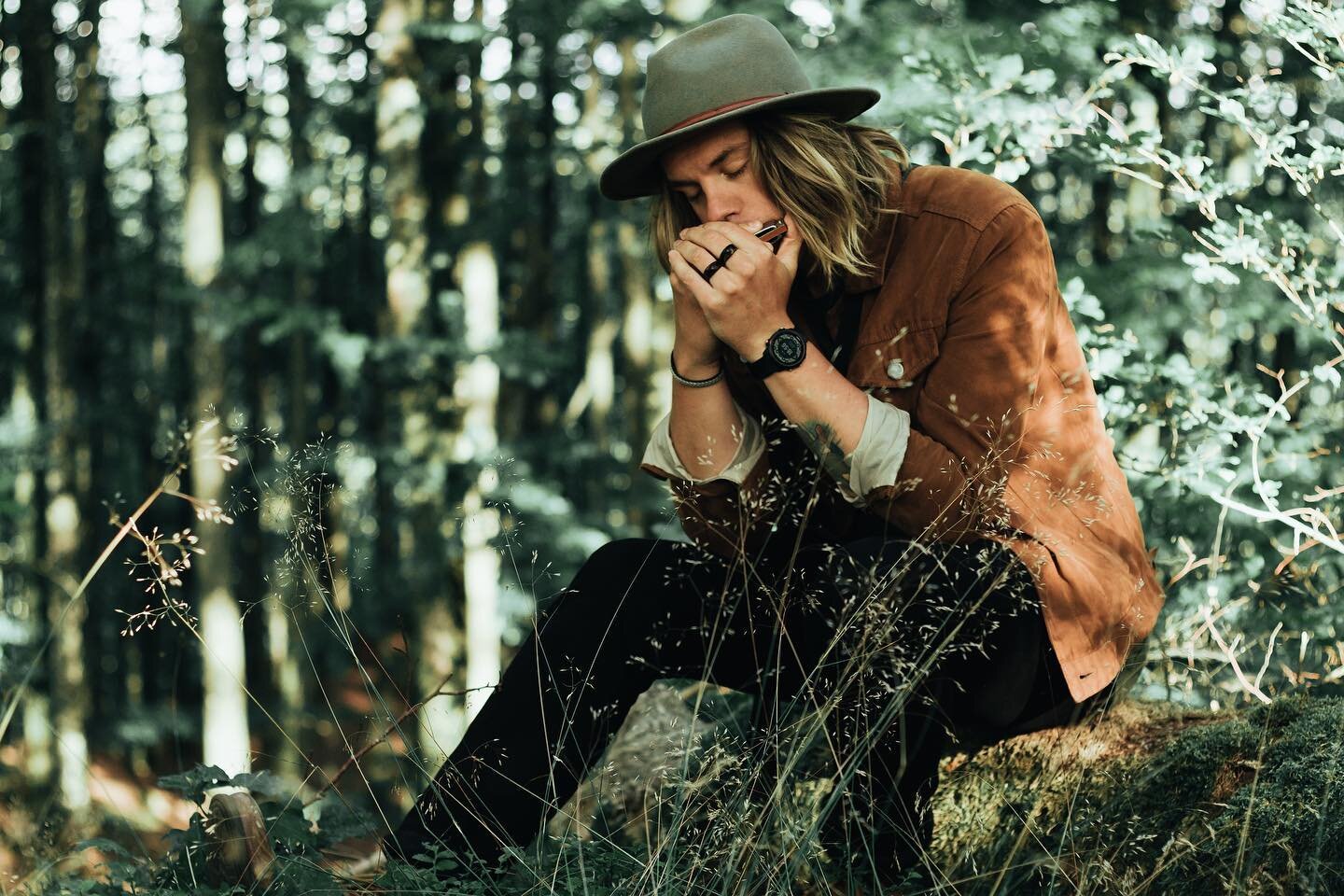 Land of Trees: music from the deep green