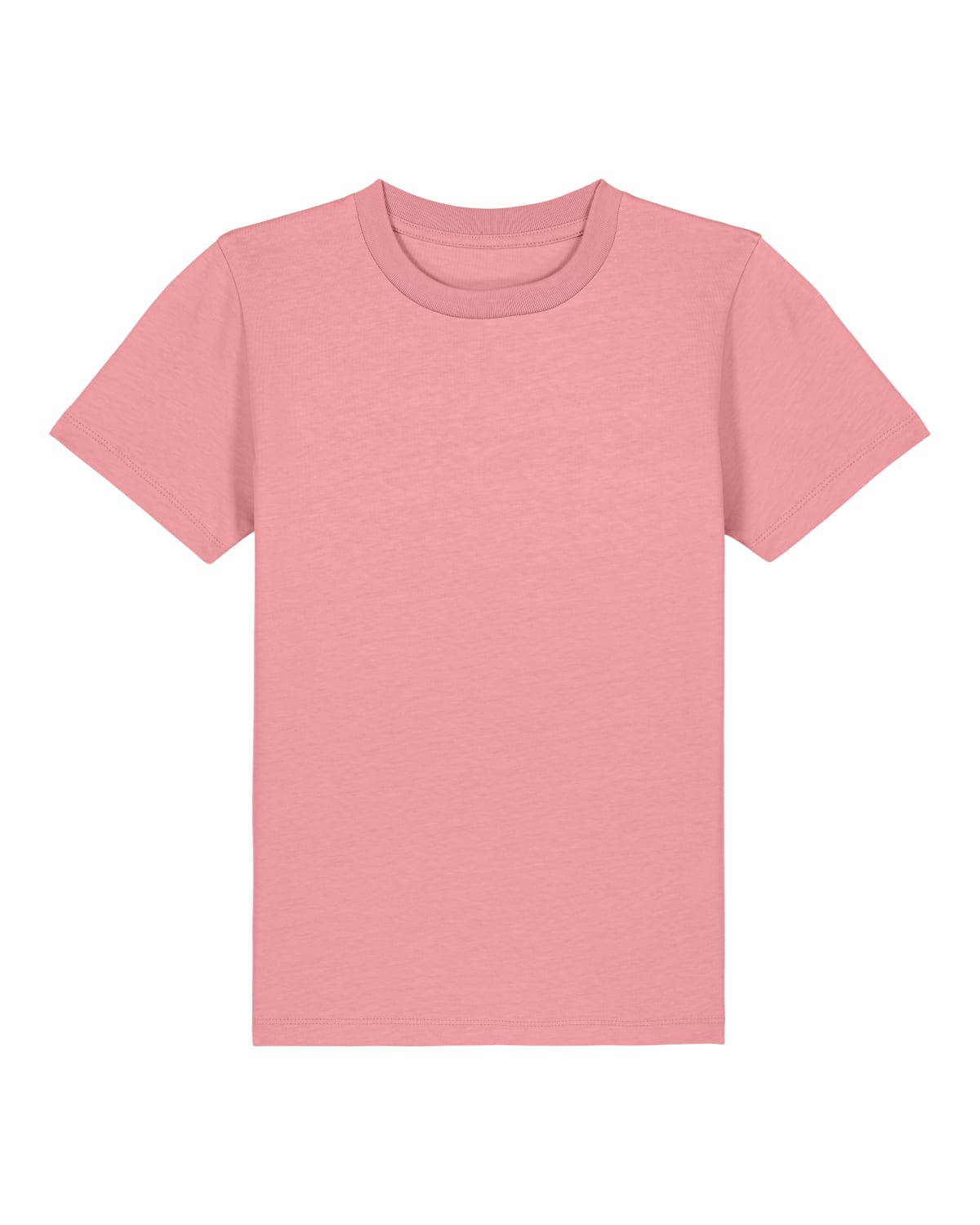 Ekologisk Standard T-Shirt för Barn